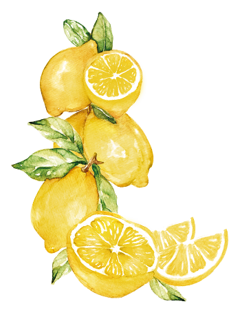 Limoni acquerello